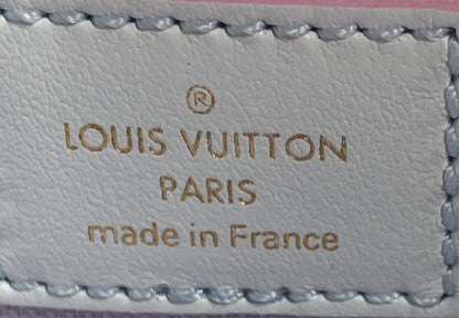 Louis Vuitton Wapity Case Spring in the City Monogram Giant Canvas