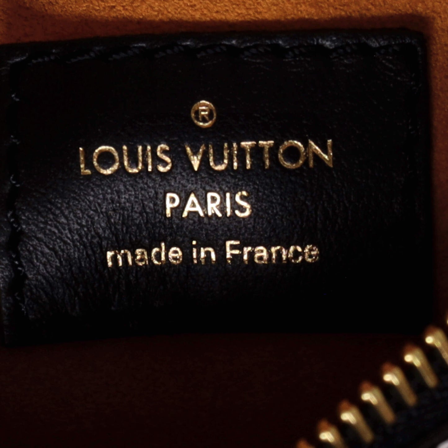 Louis Vuitton NeoNoe Handbag Limited Edition Jungle Monogram Giant