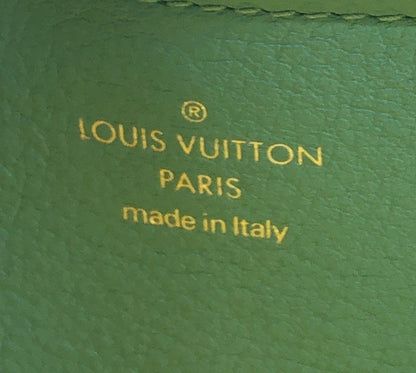Louis Vuitton Utility Crossbody Bag Calfskin with Embossed Monogram Detail
