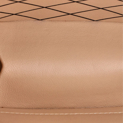 Louis Vuitton Petite Boite Chapeau Bag Calfskin