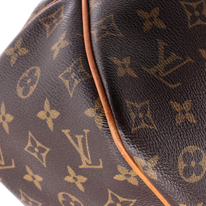 Louis Vuitton Delightful NM Handbag Monogram Canvas MM