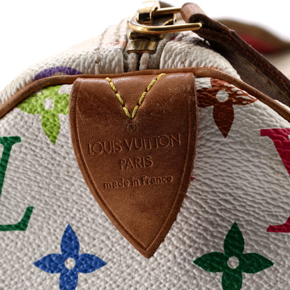 Louis Vuitton Speedy Handbag Monogram Multicolor 30