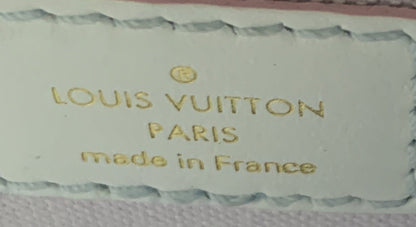Louis Vuitton Petit Sac Plat Bag Spring in the City Monogram Giant Canvas