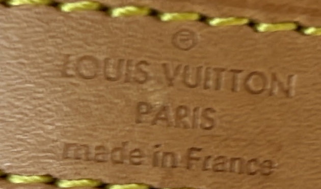 Louis Vuitton Speedy Bandouliere Bag By The Pool Monogram Giant 25