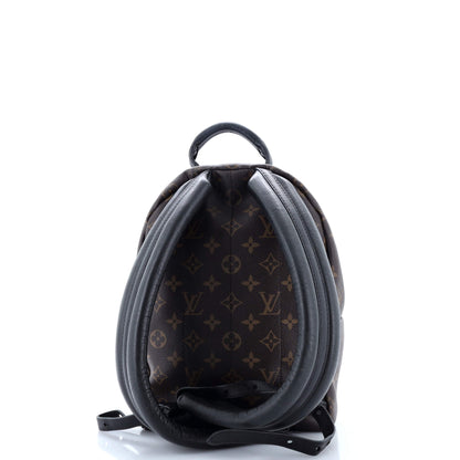 Louis Vuitton Palm Springs Backpack Monogram Canvas PM