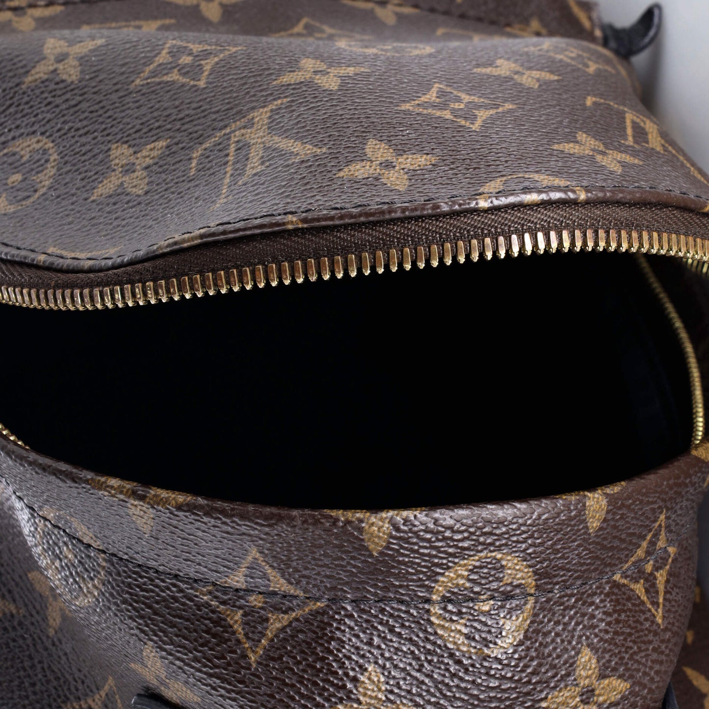Louis Vuitton Palm Springs Backpack Monogram Canvas PM