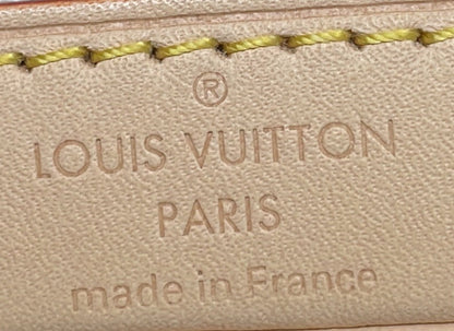 Louis Vuitton Chain Noe NM Handbag Multicolor Monogram Jacquard Nano
