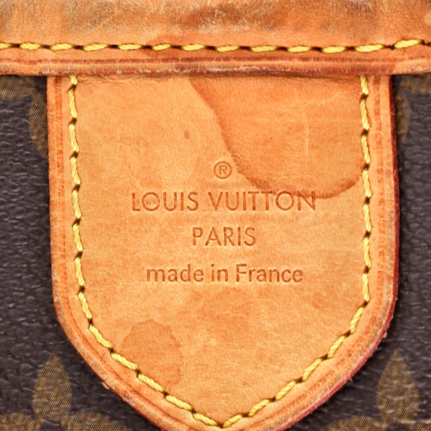 Louis Vuitton Delightful Handbag Monogram Canvas PM