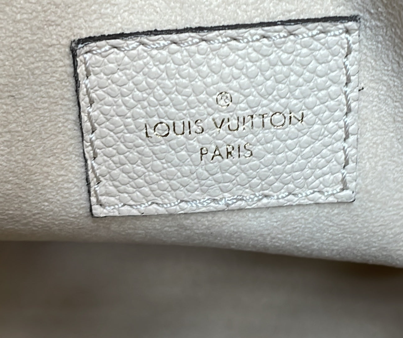 Louis Vuitton Loop Hobo Monogram Empreinte Giant