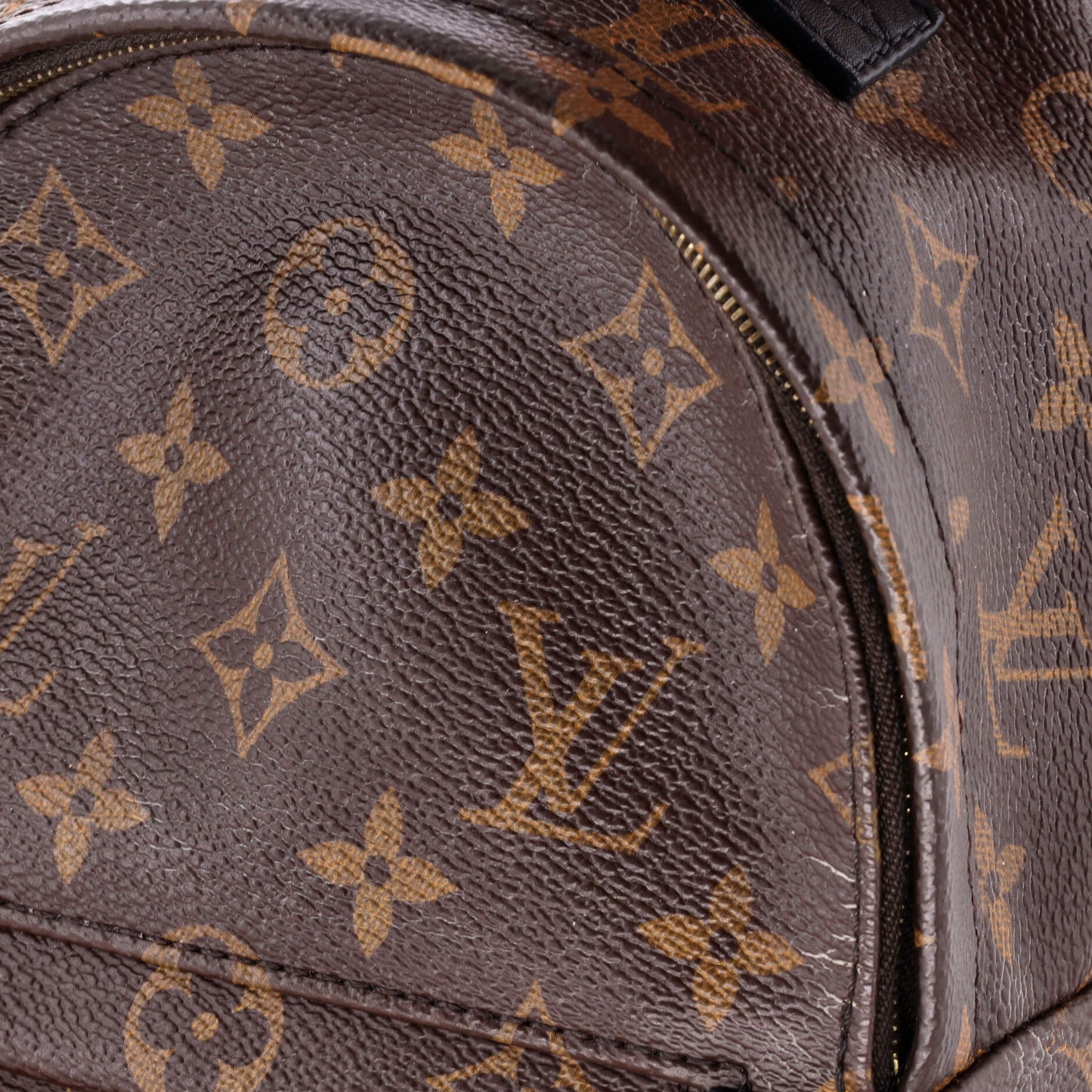 Louis Vuitton Palm Springs Backpack Monogram Canvas Mini
