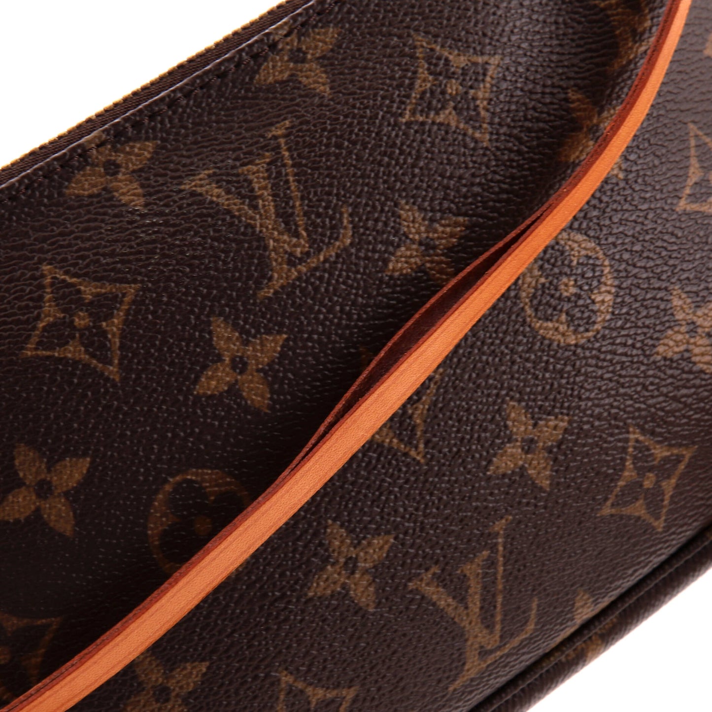 Louis Vuitton Pochette Accessoires Monogram Canvas