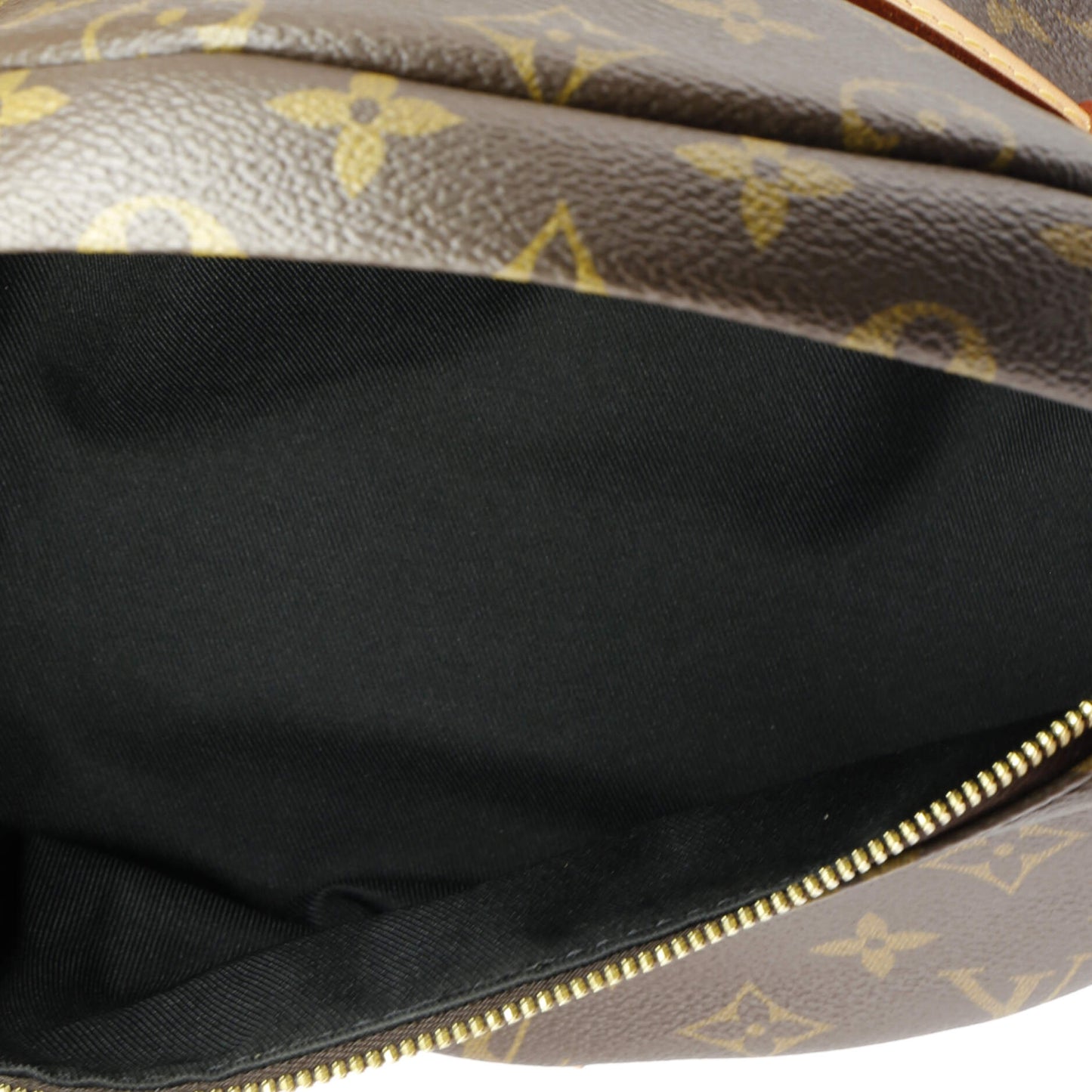 Louis Vuitton Bum Bag Monogram Canvas