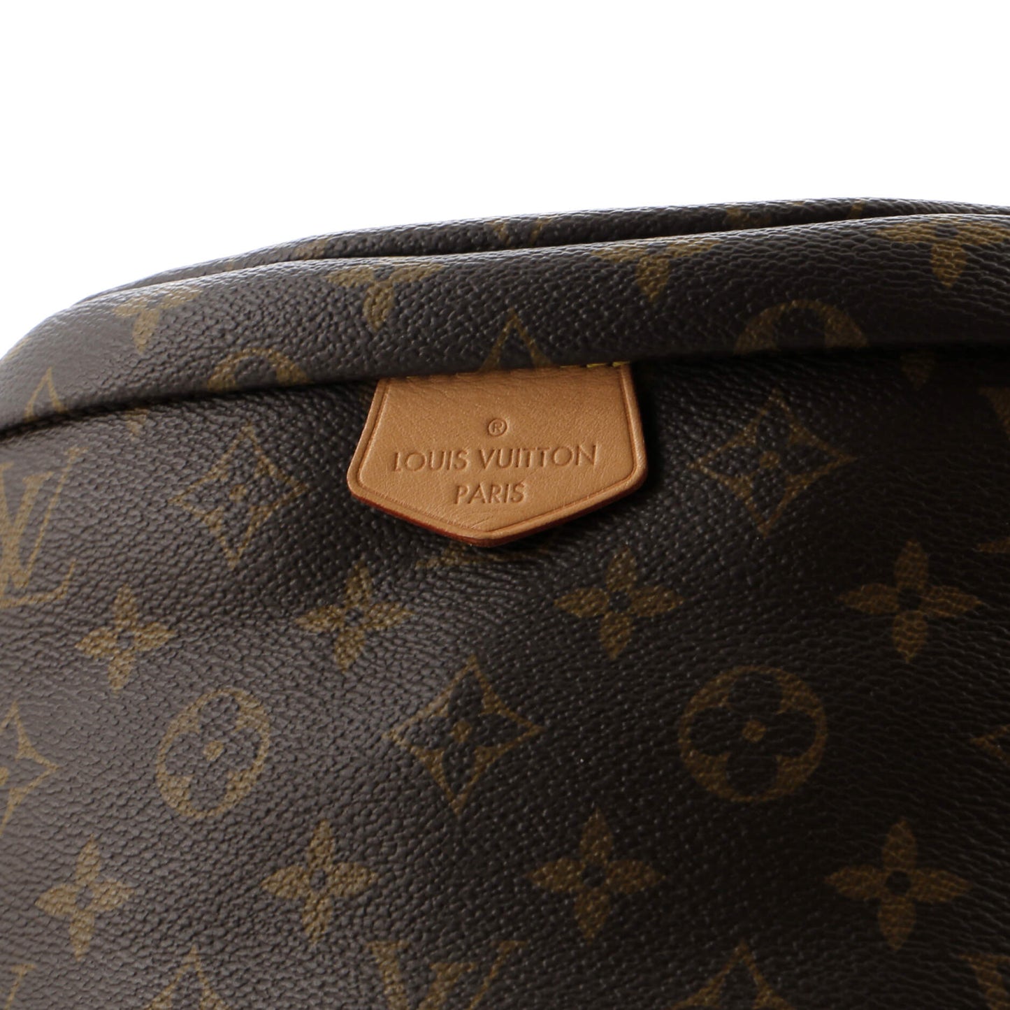 Louis Vuitton Bum Bag Monogram Canvas