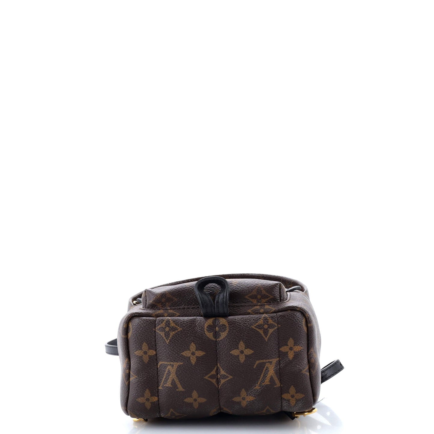 Louis Vuitton Palm Springs Backpack Monogram Canvas Mini