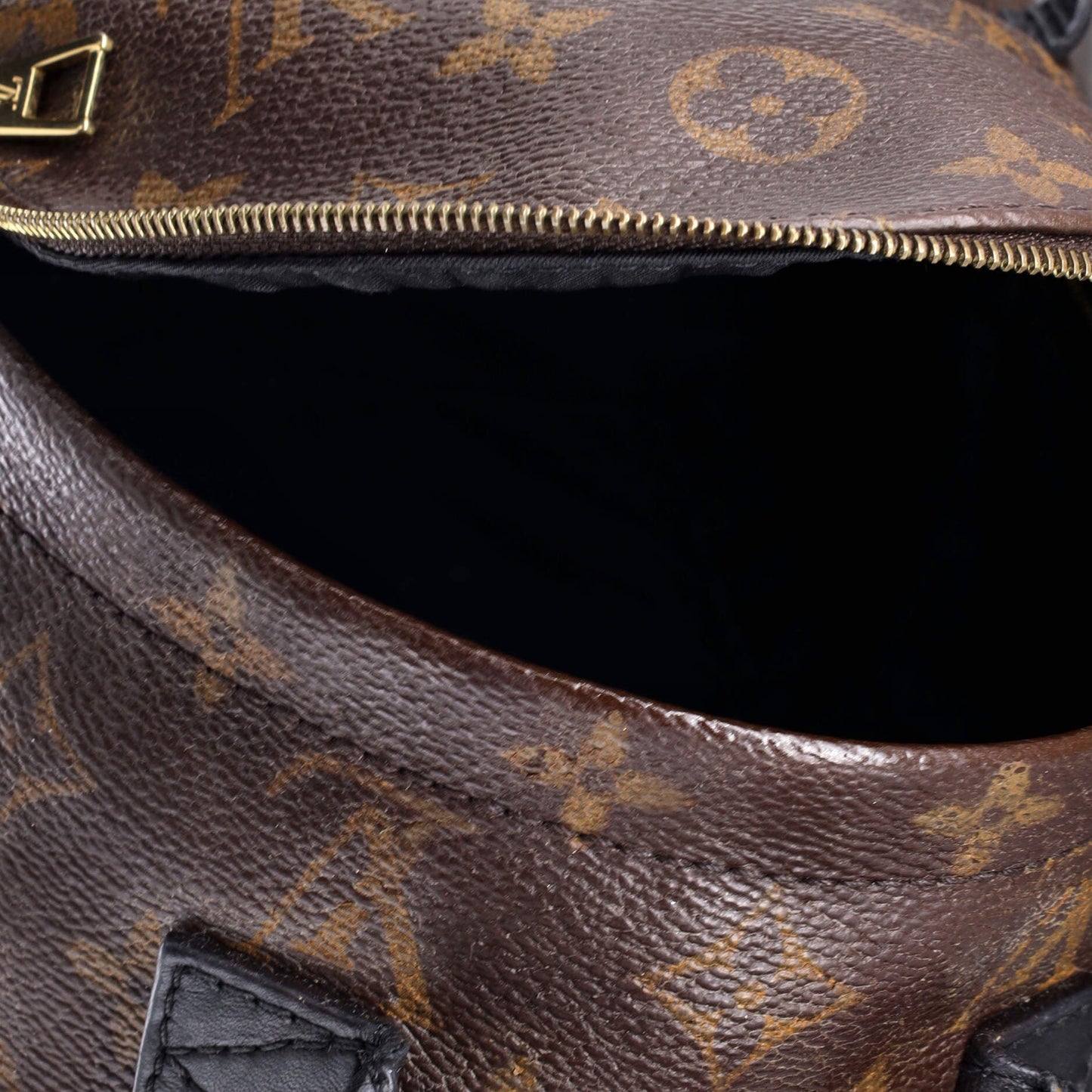 Louis Vuitton Palm Springs Backpack Monogram Canvas Mini