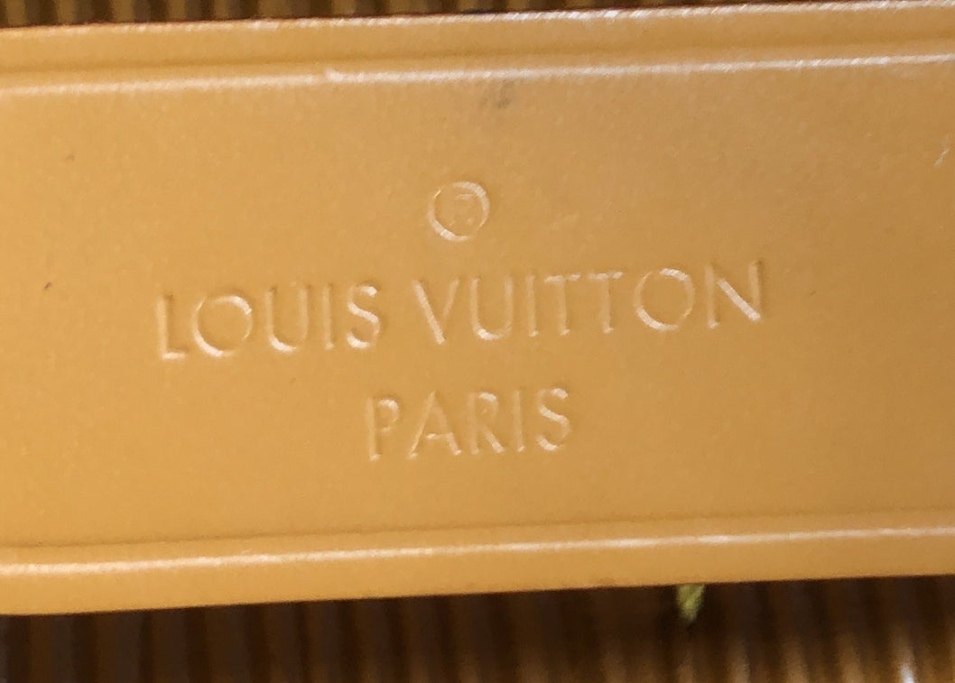 Louis Vuitton NeoNoe Handbag Epi Leather with Logo Jacquard Strap BB
