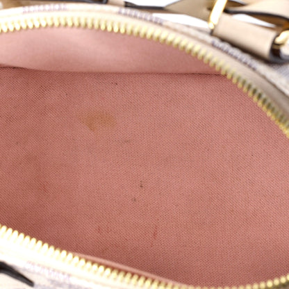 Louis Vuitton Alma Handbag Damier with Braided Detail BB