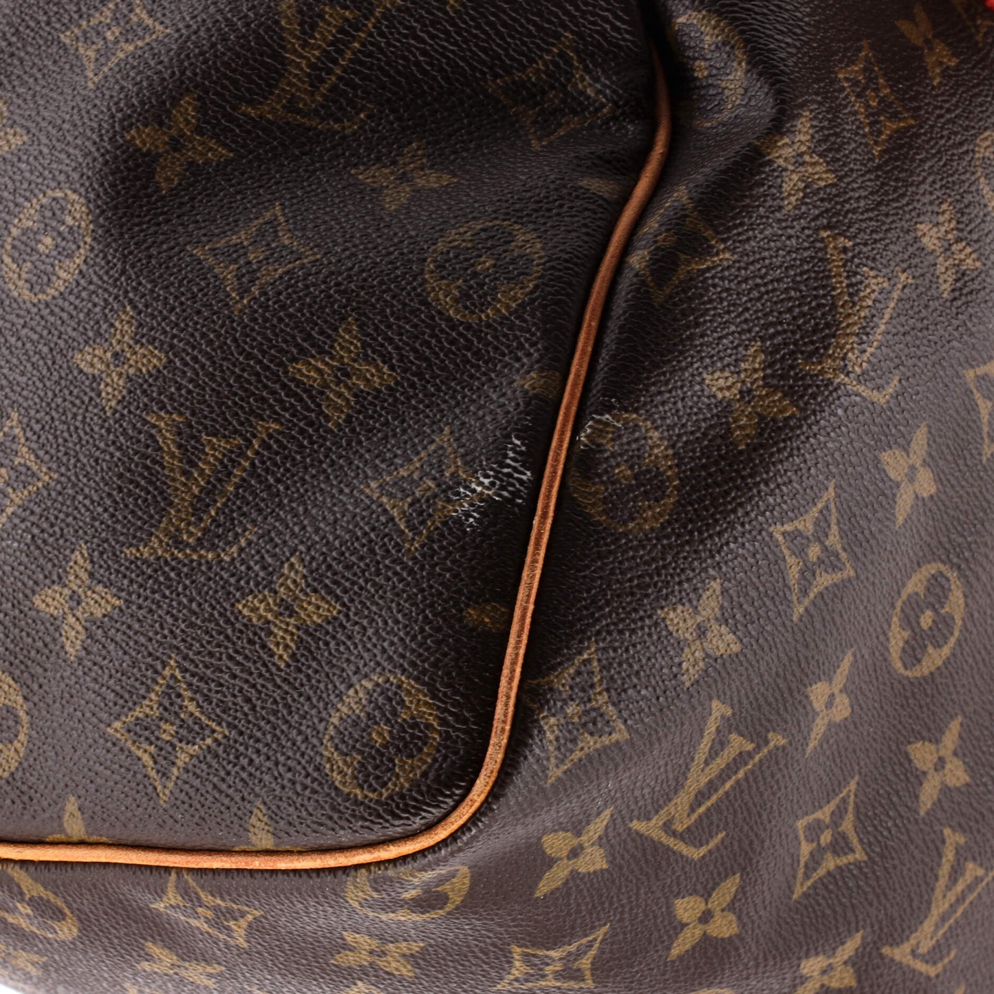 Louis Vuitton Speedy Handbag Monogram Canvas 40