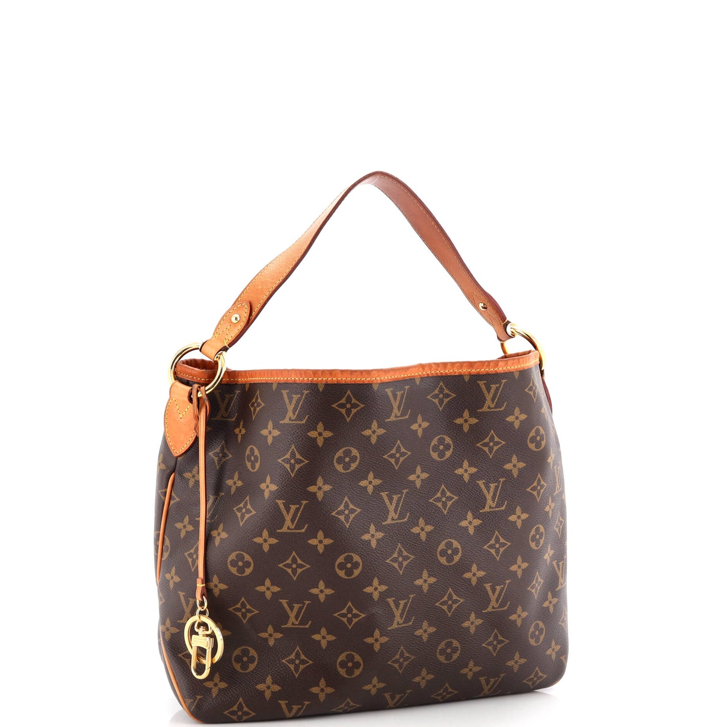 Louis Vuitton Delightful NM Handbag Monogram Canvas PM