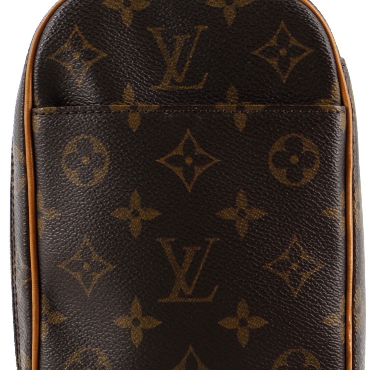 Louis Vuitton Pochette Gange Monogram Canvas