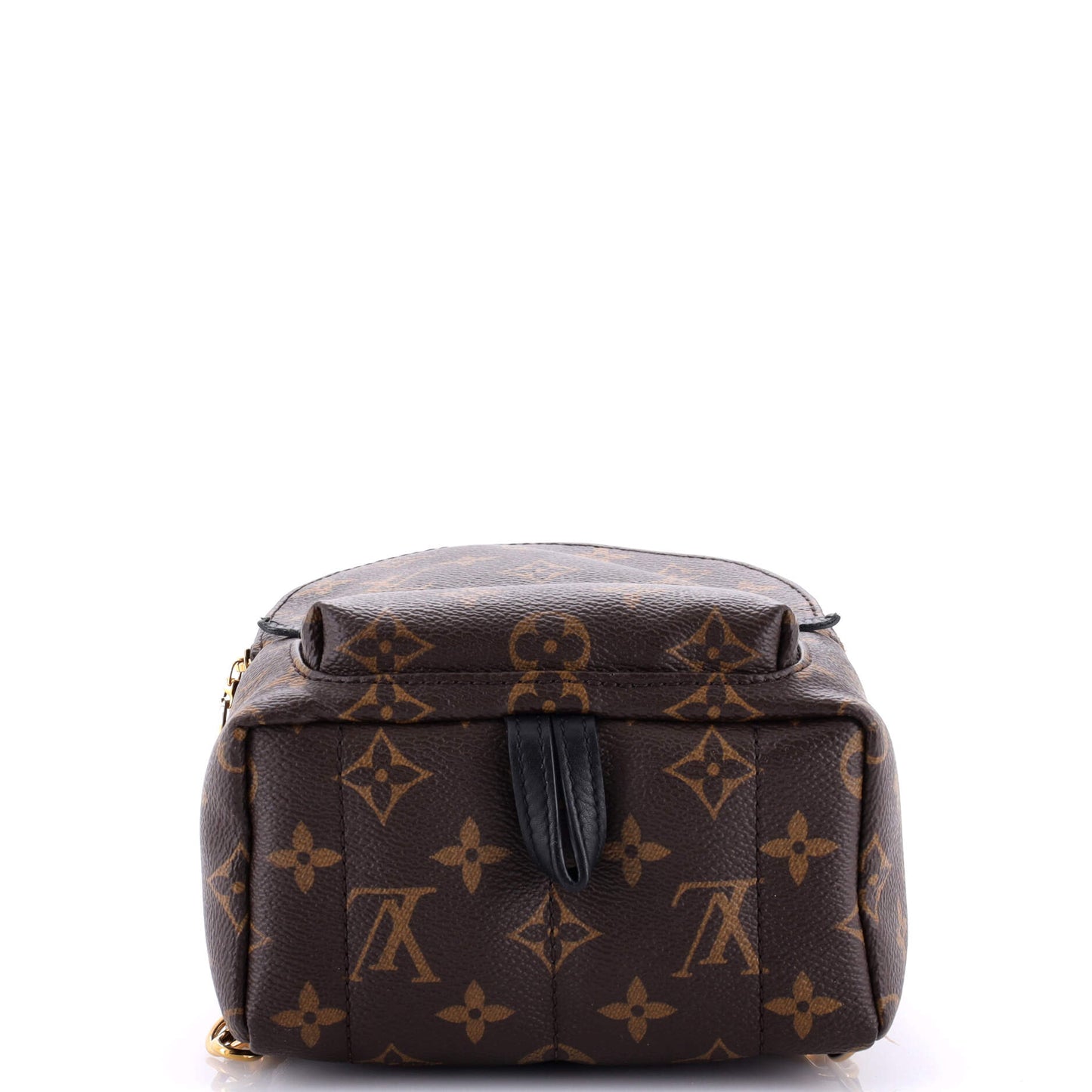 Louis Vuitton Palm Springs Backpack Monogram Canvas Mini
