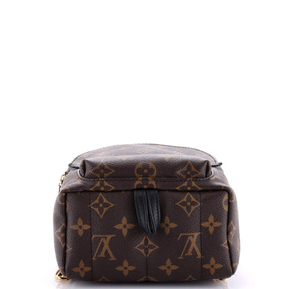 Louis Vuitton Palm Springs Backpack Monogram Canvas Mini