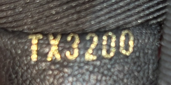 Louis Vuitton Palm Springs Backpack Monogram Canvas Mini