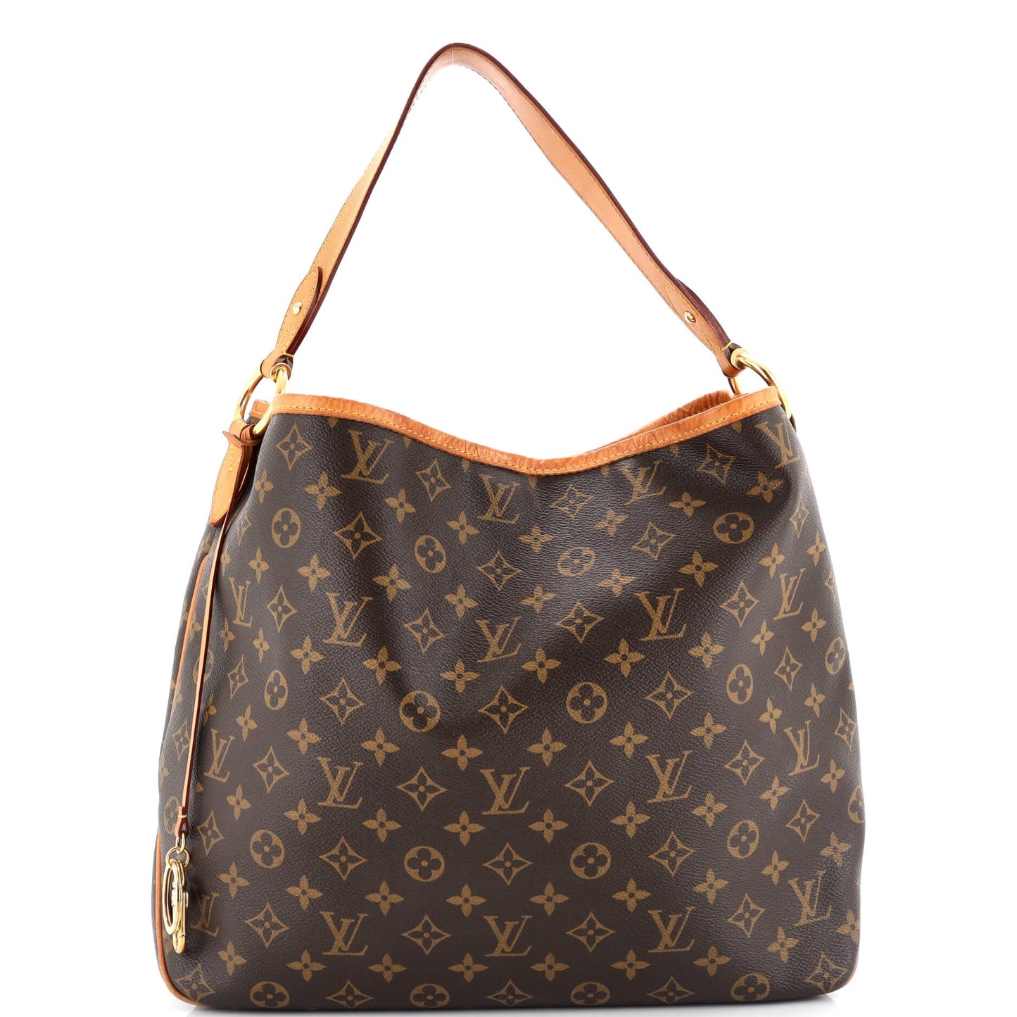 Louis Vuitton Delightful NM Handbag Monogram Canvas MM