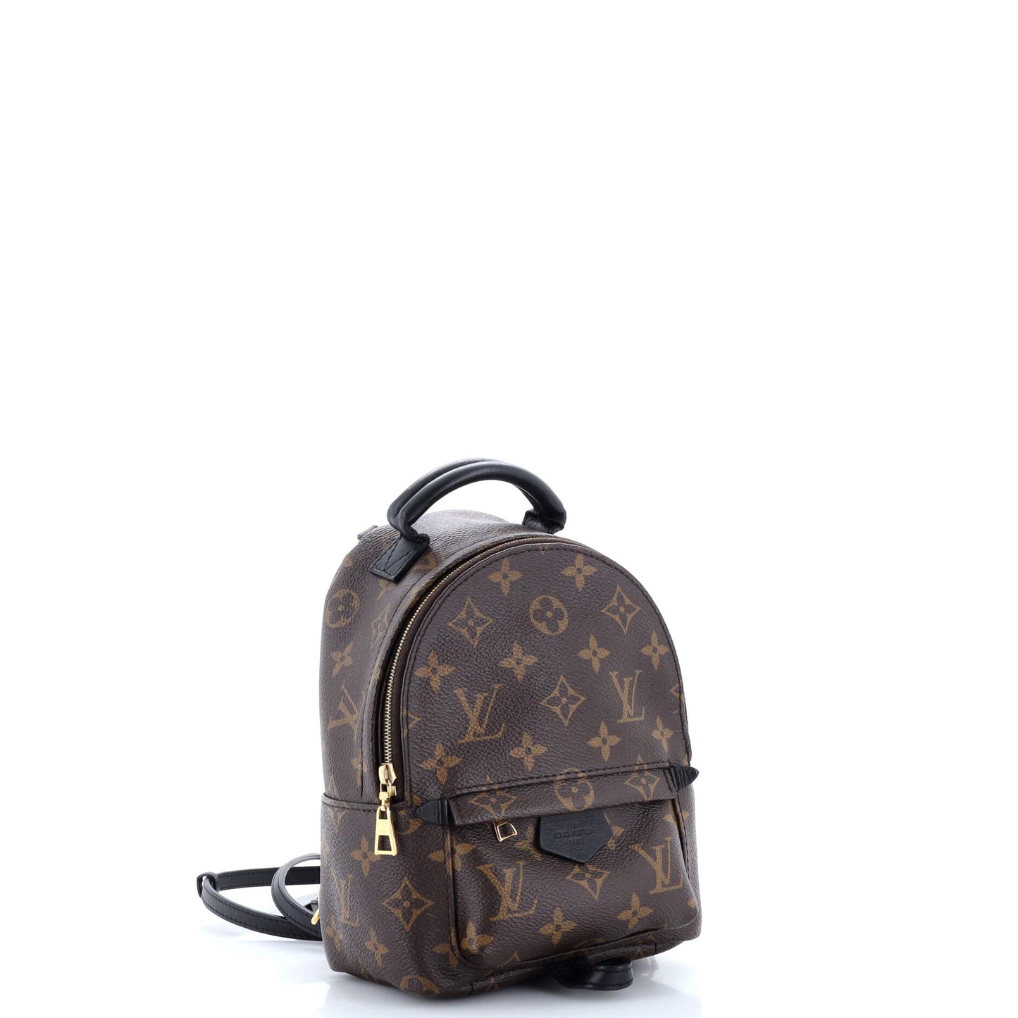 Louis Vuitton Palm Springs Backpack Monogram Canvas Mini