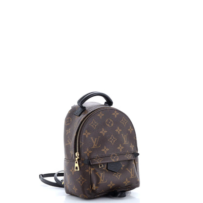 Louis Vuitton Palm Springs Backpack Monogram Canvas Mini