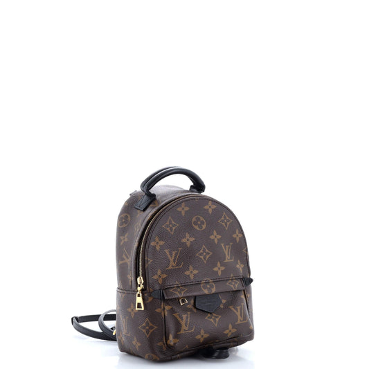 Louis Vuitton Palm Springs Backpack Monogram Canvas Mini