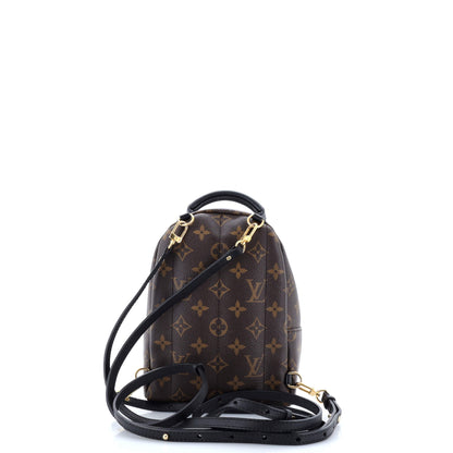 Louis Vuitton Palm Springs Backpack Monogram Canvas Mini