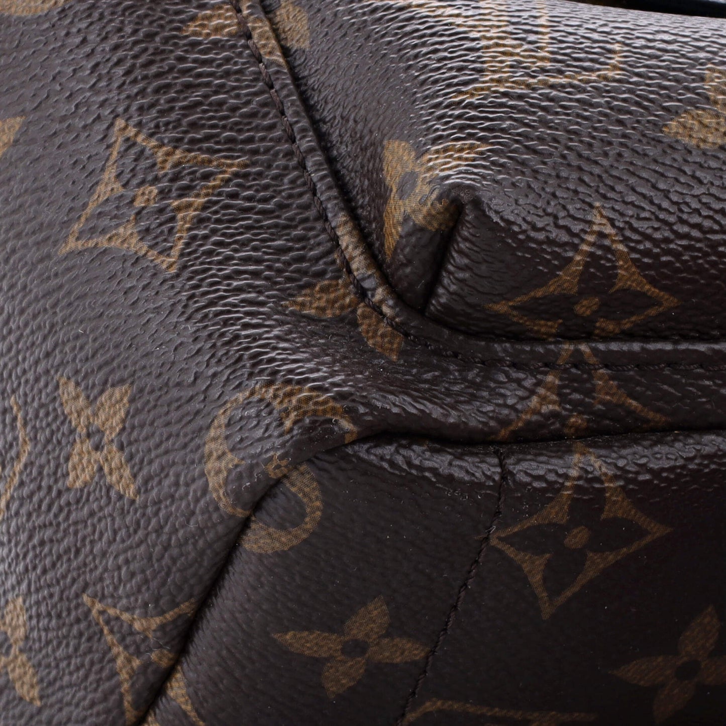 Louis Vuitton Palm Springs Backpack Monogram Canvas Mini