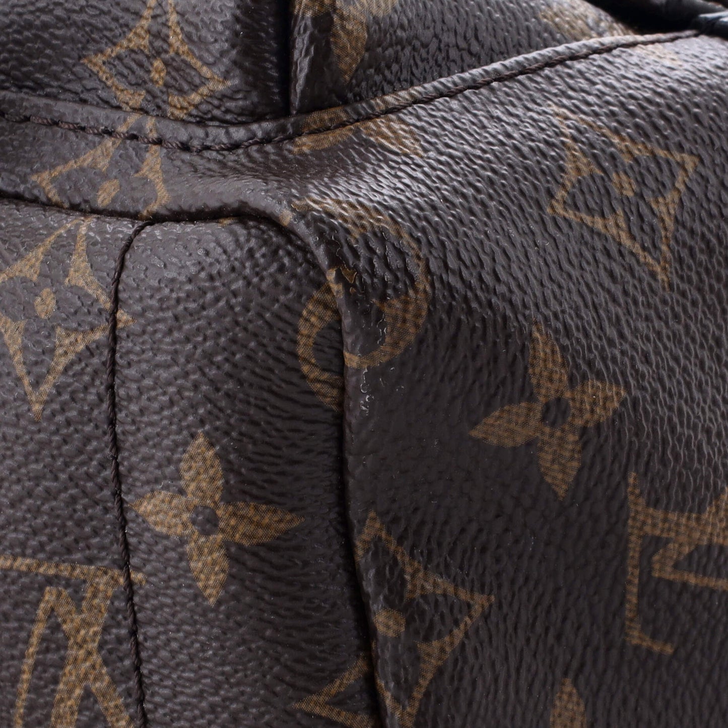Louis Vuitton Palm Springs Backpack Monogram Canvas Mini