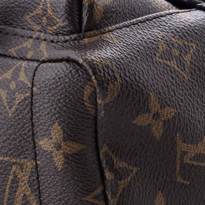 Louis Vuitton Palm Springs Backpack Monogram Canvas Mini