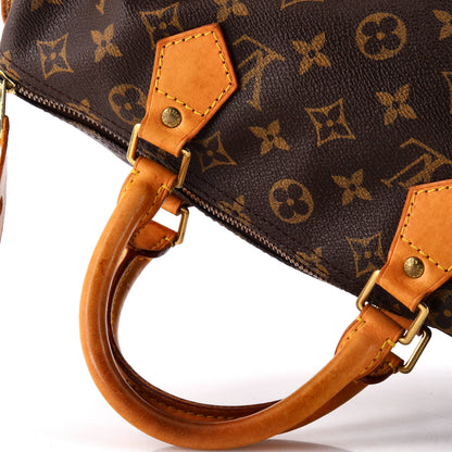 Louis Vuitton Speedy Handbag Monogram Canvas 30