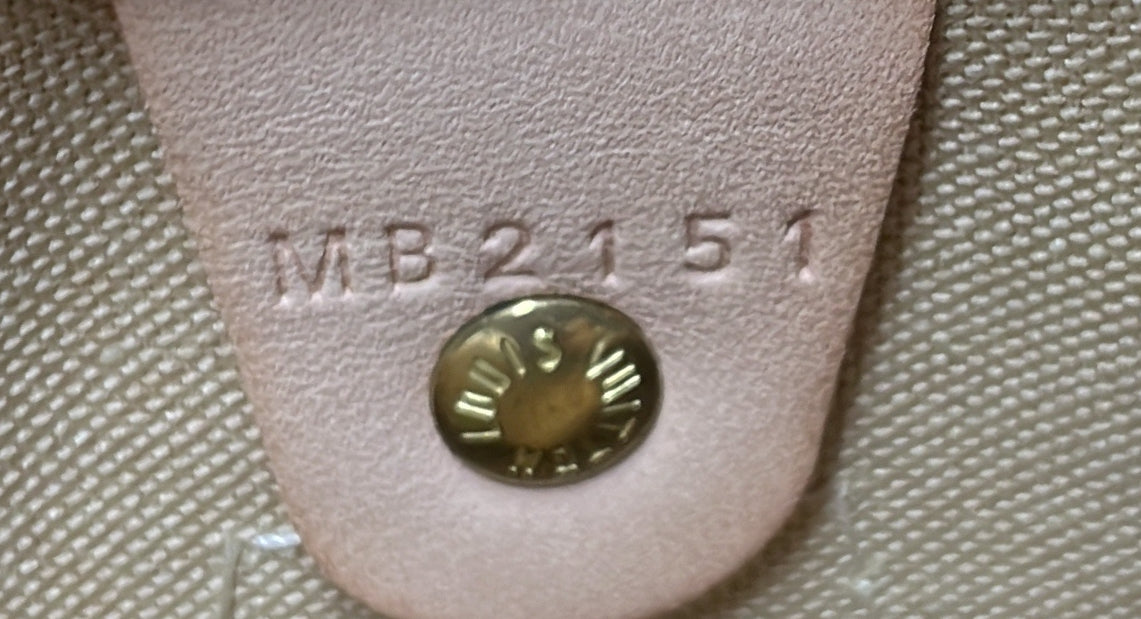Louis Vuitton Speedy Handbag Damier 30