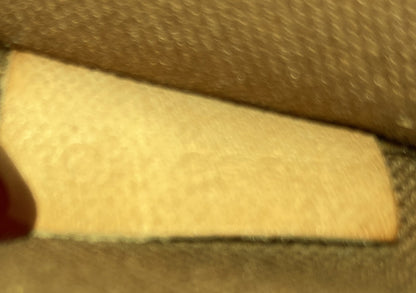 Louis Vuitton Pochette Accessoires NM Monogram Canvas