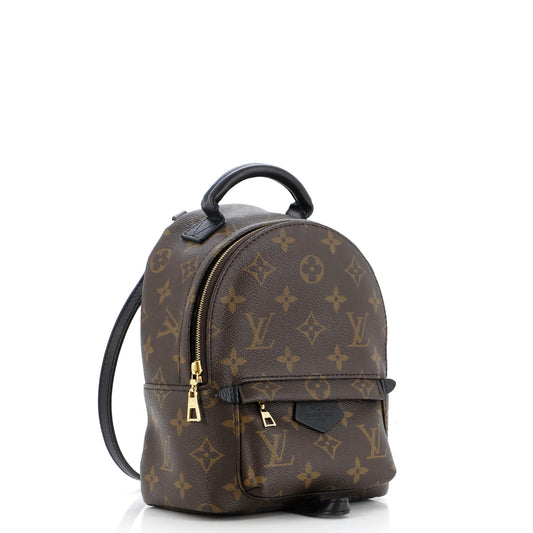 Louis Vuitton Palm Springs Backpack Monogram Canvas Mini