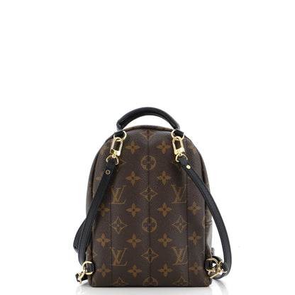 Louis Vuitton Palm Springs Backpack Monogram Canvas Mini