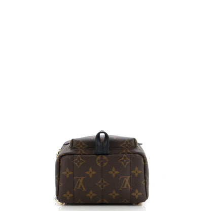 Louis Vuitton Palm Springs Backpack Monogram Canvas Mini