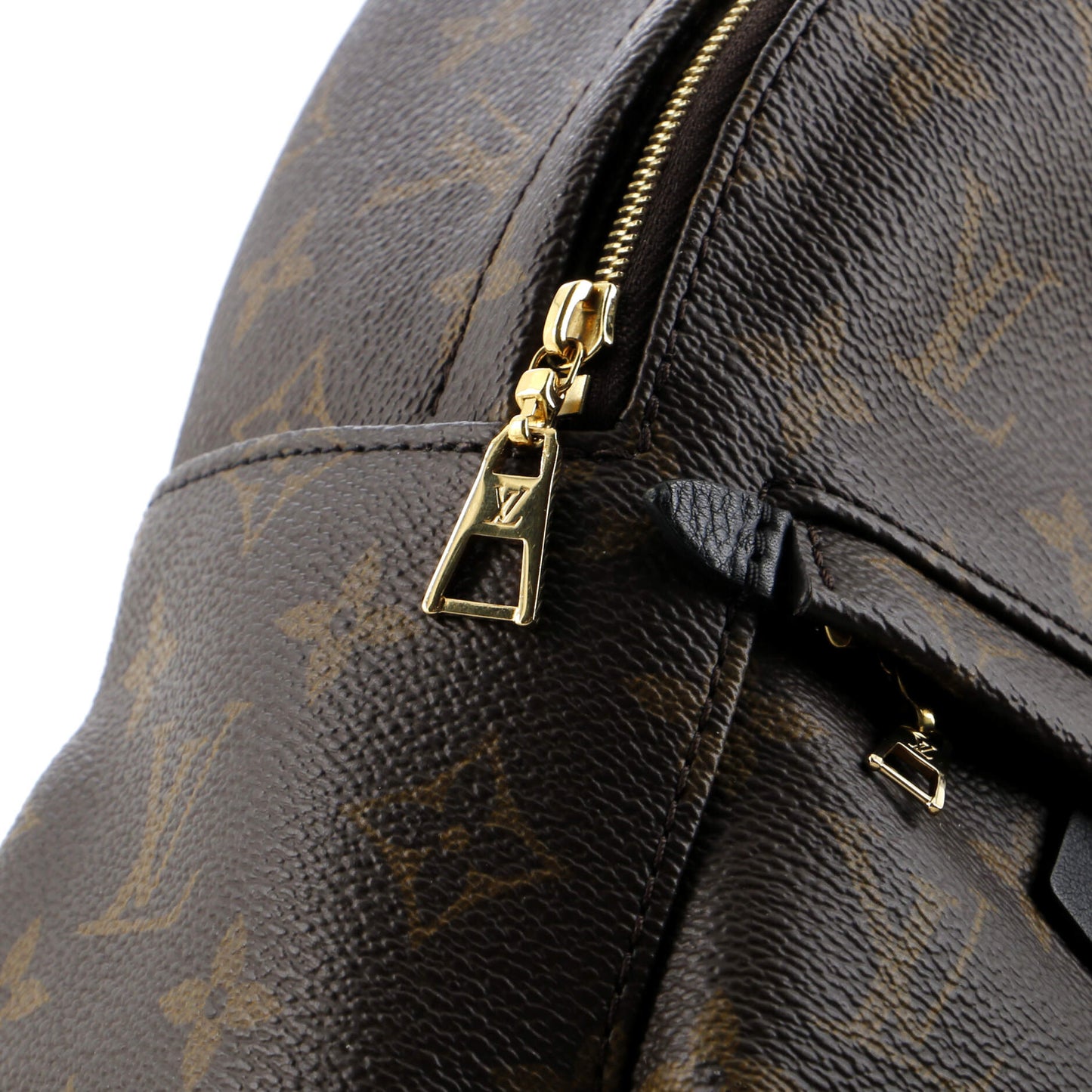 Louis Vuitton Palm Springs Backpack Monogram Canvas Mini