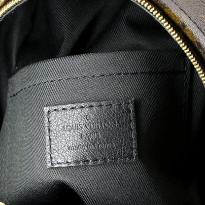 Louis Vuitton Palm Springs Backpack Monogram Canvas Mini