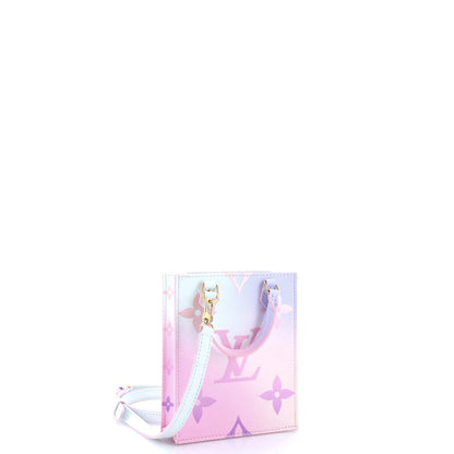 Louis Vuitton Petit Sac Plat Bag Spring in the City Monogram Giant Canvas