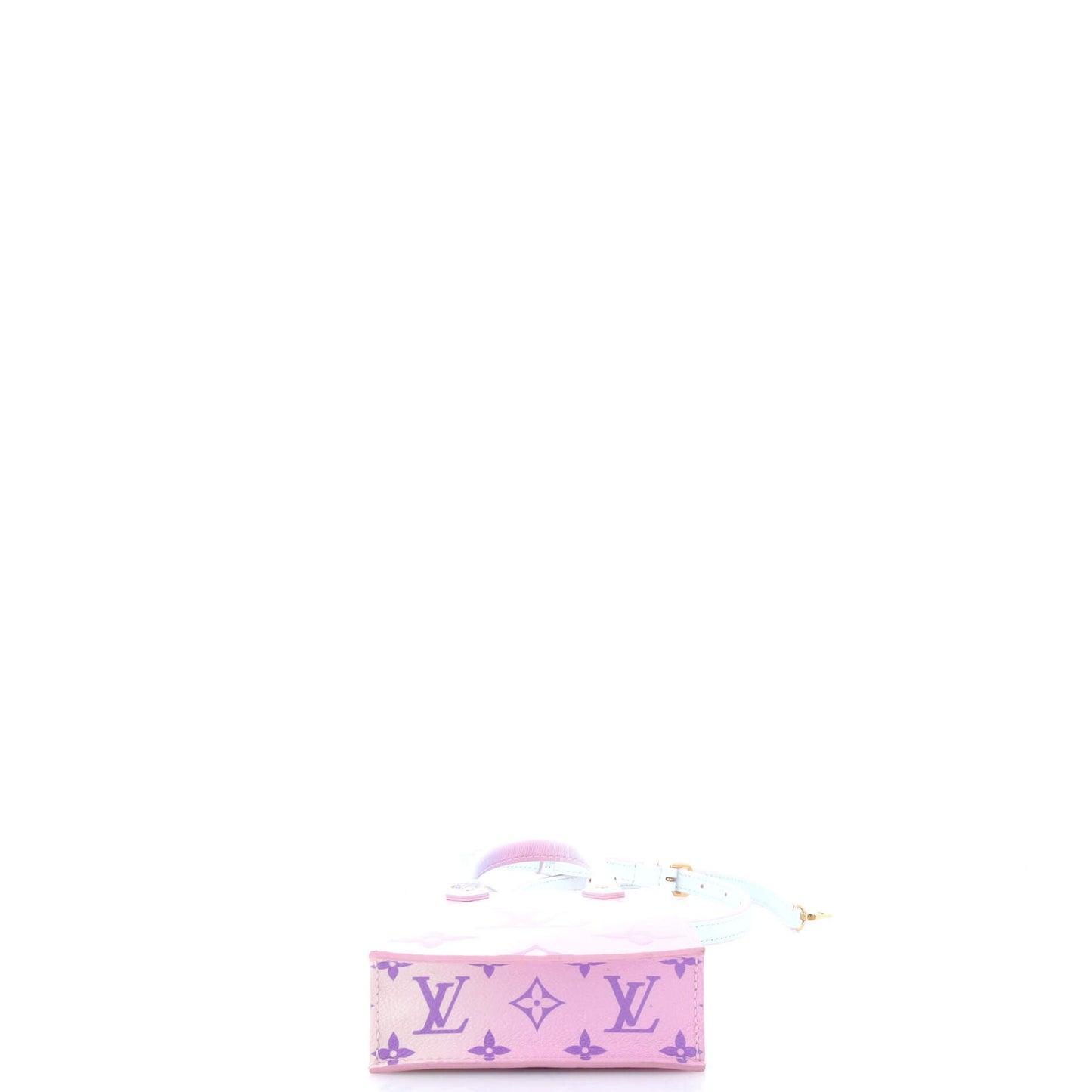 Louis Vuitton Petit Sac Plat Bag Spring in the City Monogram Giant Canvas