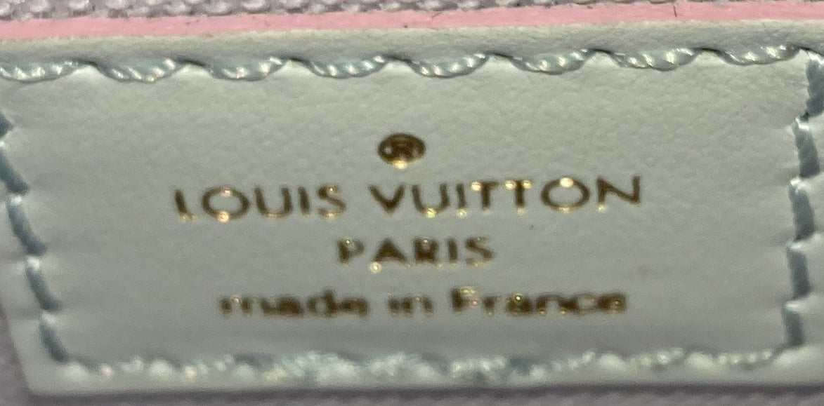Louis Vuitton Petit Sac Plat Bag Spring in the City Monogram Giant Canvas