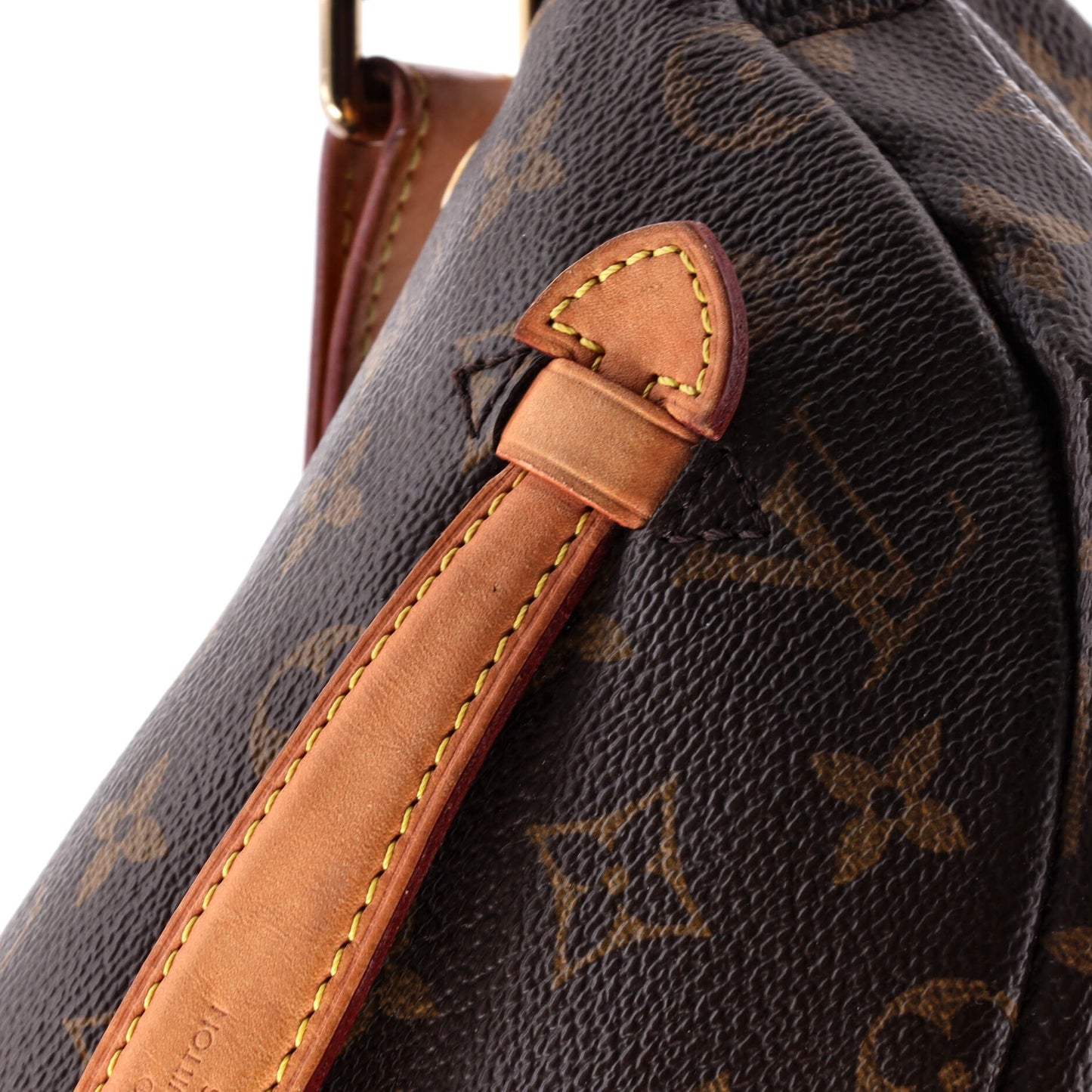 Louis Vuitton Bum Bag Monogram Canvas