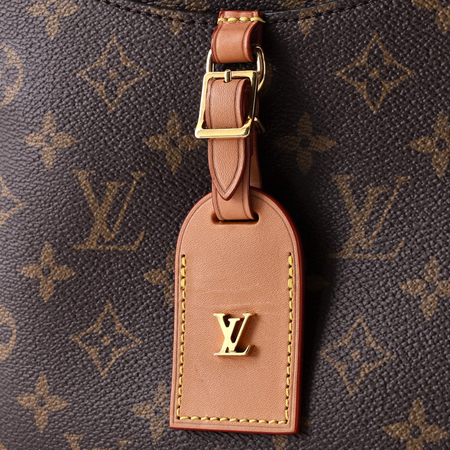Louis Vuitton Odeon NM Handbag Monogram Canvas PM