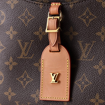 Louis Vuitton Odeon NM Handbag Monogram Canvas PM