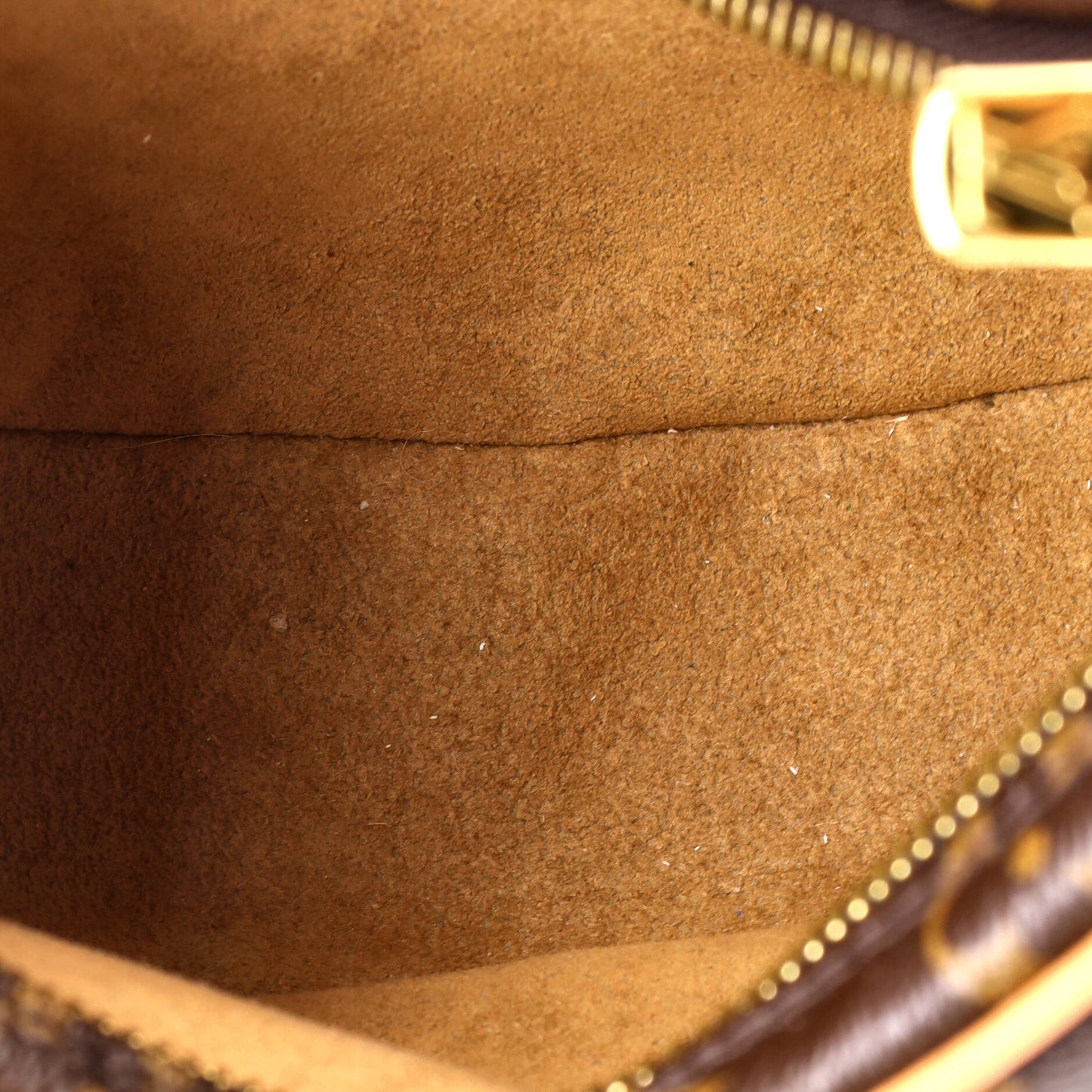 Louis Vuitton Loop Handbag Monogram Canvas